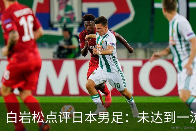白岩松点评日本男足：未达到一流强队标准，仍需克服对荷兰的恐惧